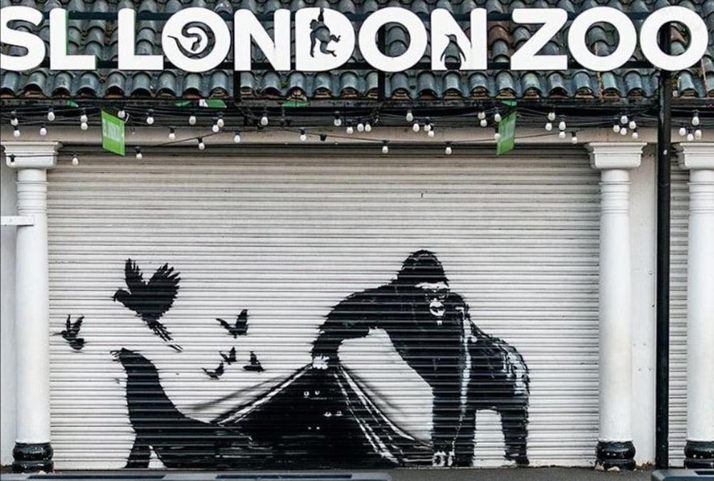 ZSL London Zoo - Banksy