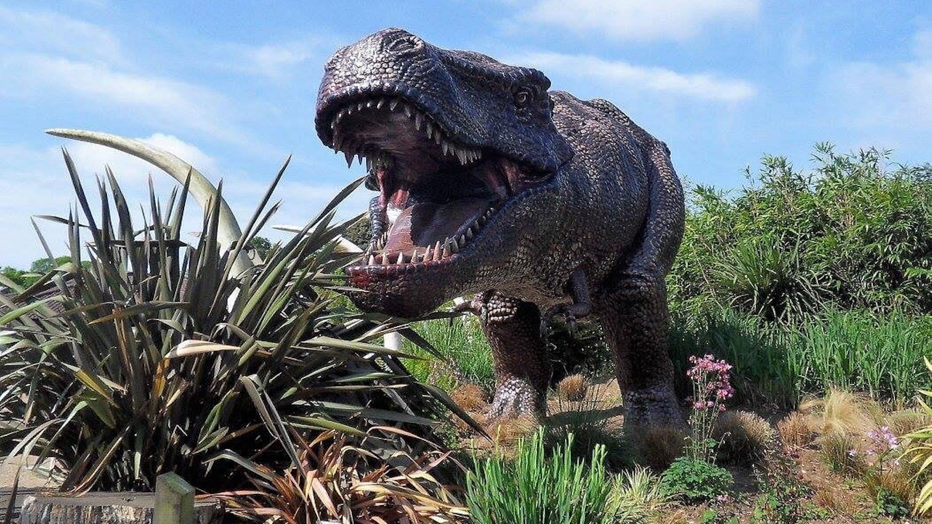 ROARR! - Large Dinosaur