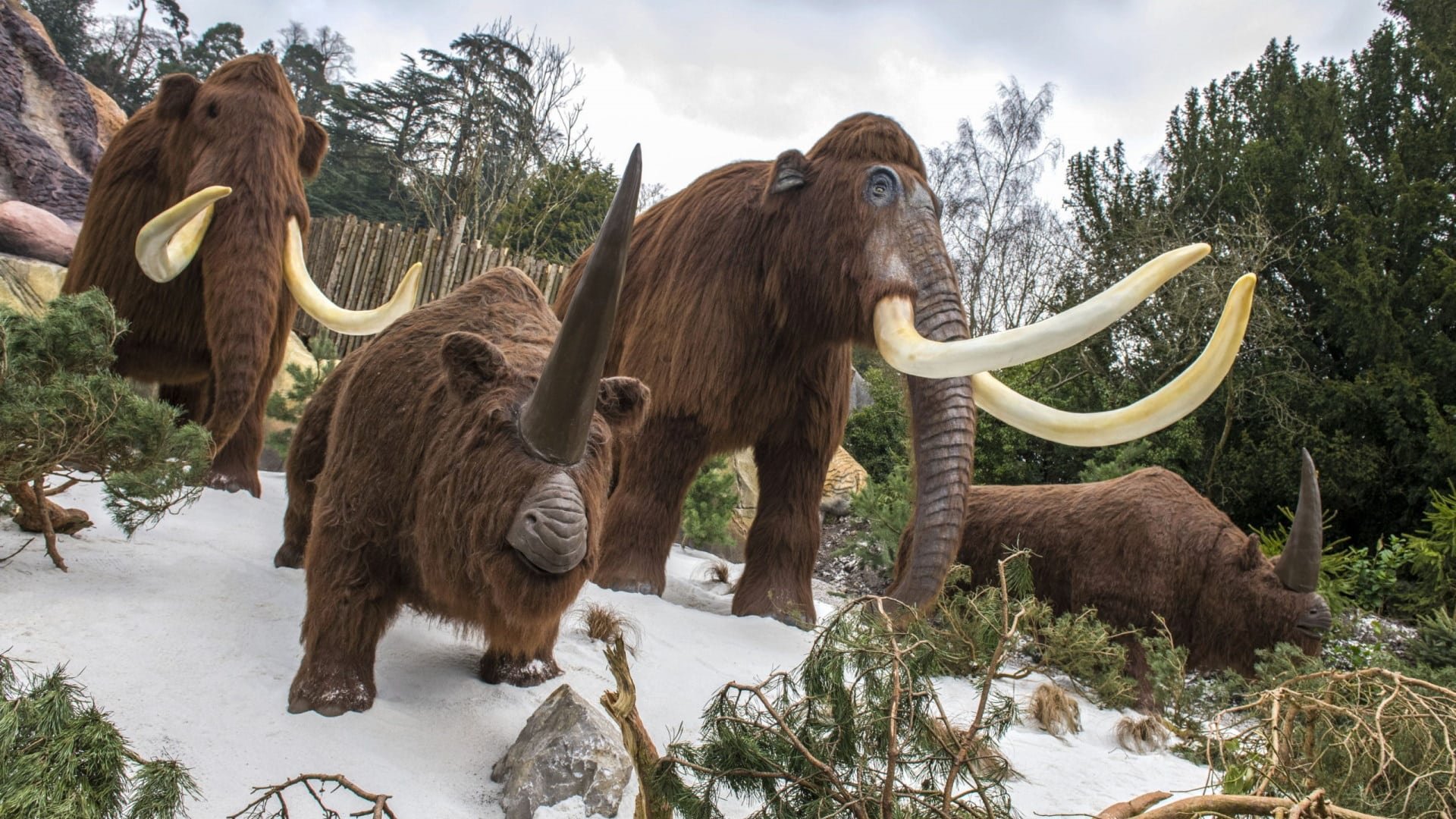 West Midlands Safari Park - Ice Age Scene