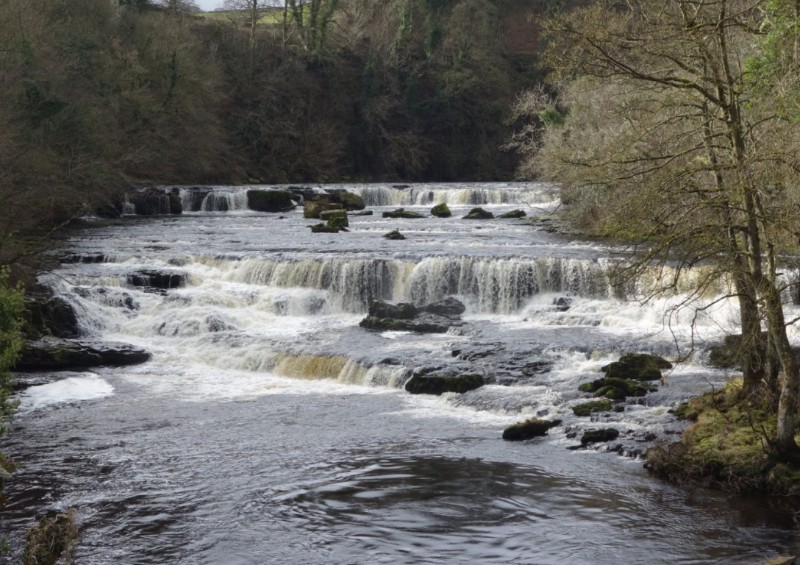 Aysgarth Falls | Attractions Near Me Aysgarth Falls | Attractions Near Me - 800 x 565 jpeg 137kB