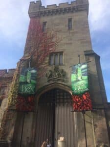 Alton Towers - Hex