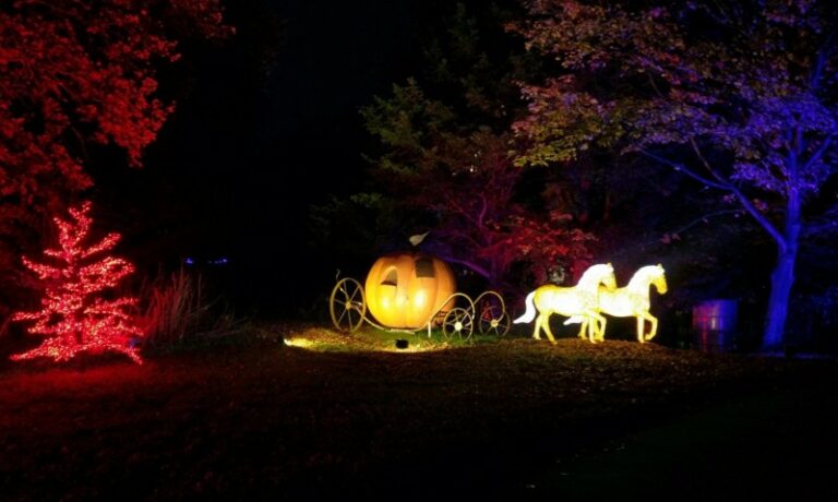 Stockeld-Park-Cinderellas-Carriage