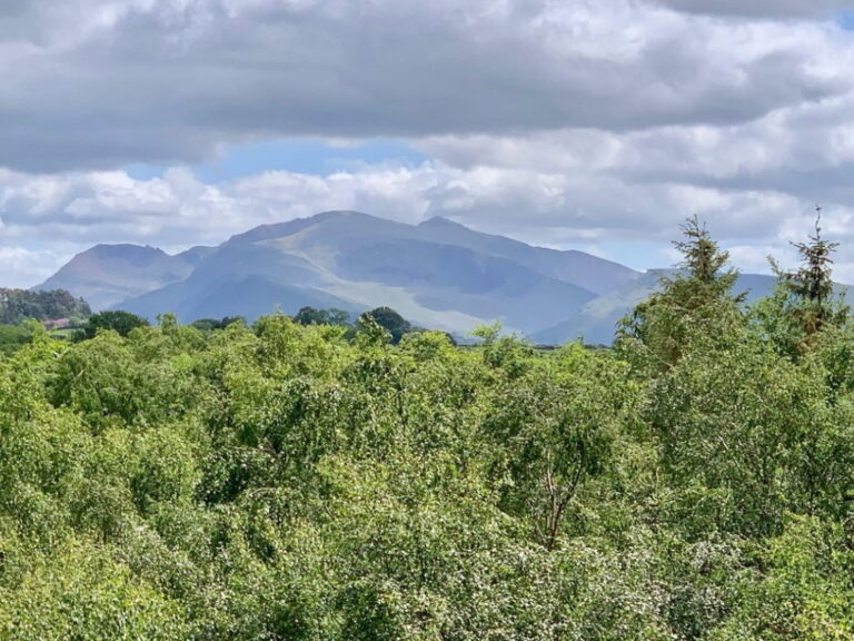 Greenwood Family Park - View of Mount Snowdon Greenwood Family Park - View of Mount Snowdon