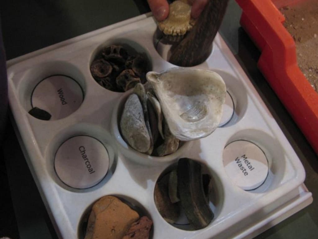 DIG - An Archaeological Adventure - Fossil Sorting