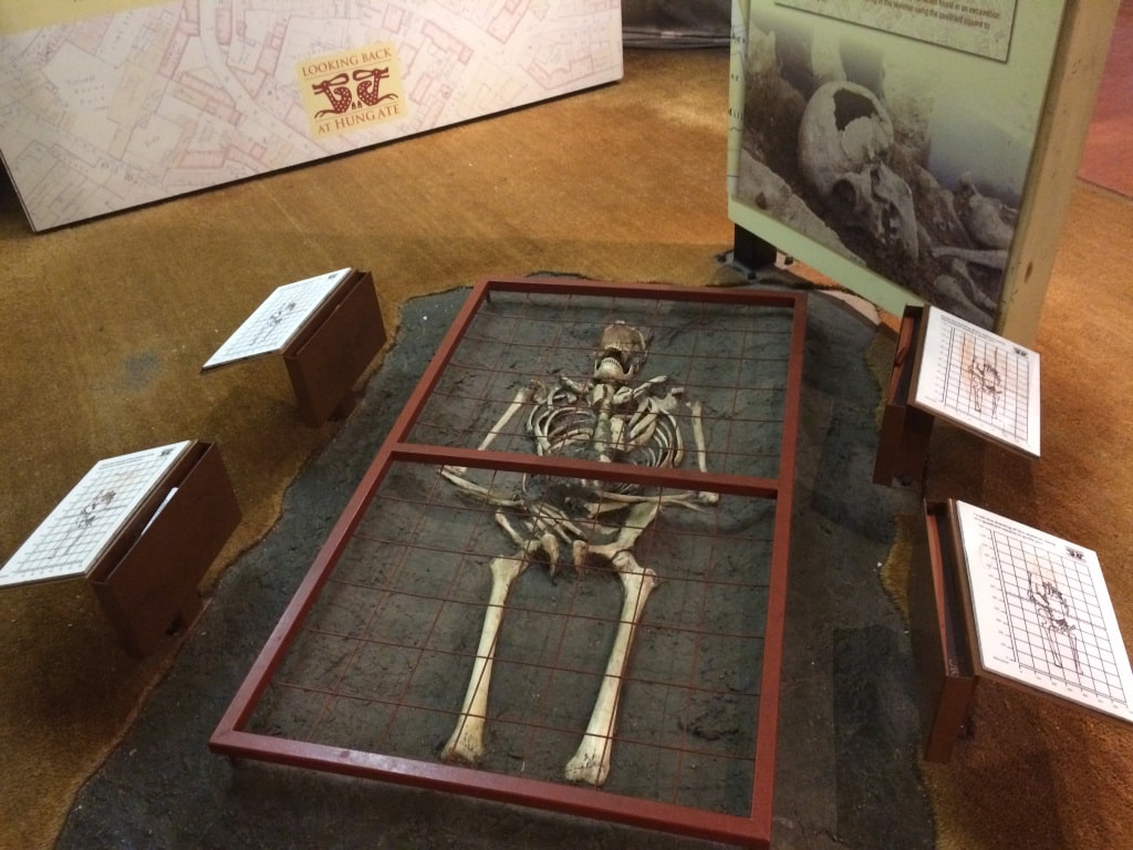 DIG - An Archaeological Adventure - Looking Back at Hungate