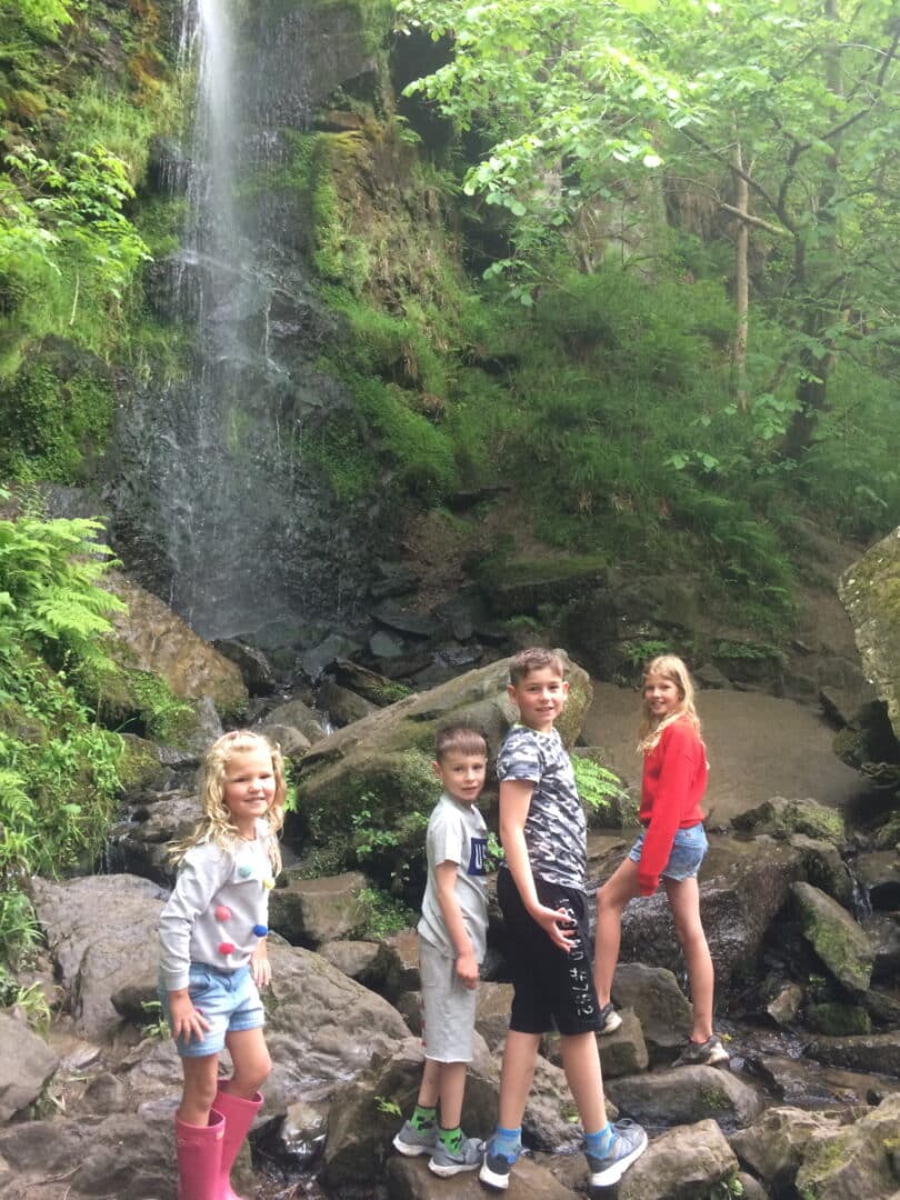 Mallyan Spout Waterfall - Goathland