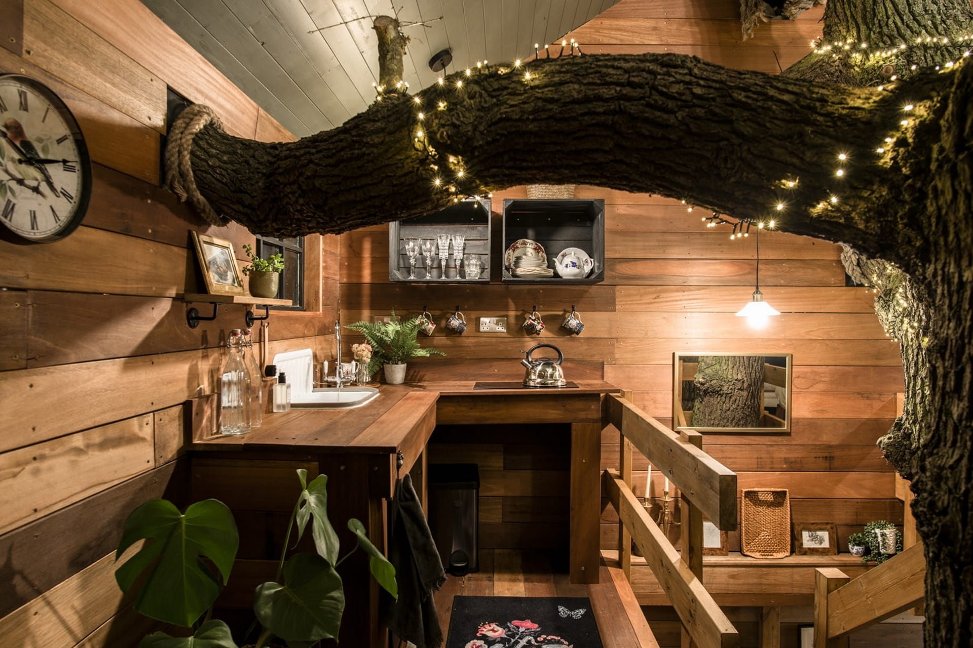 The Old Oak at Coleman's Farm