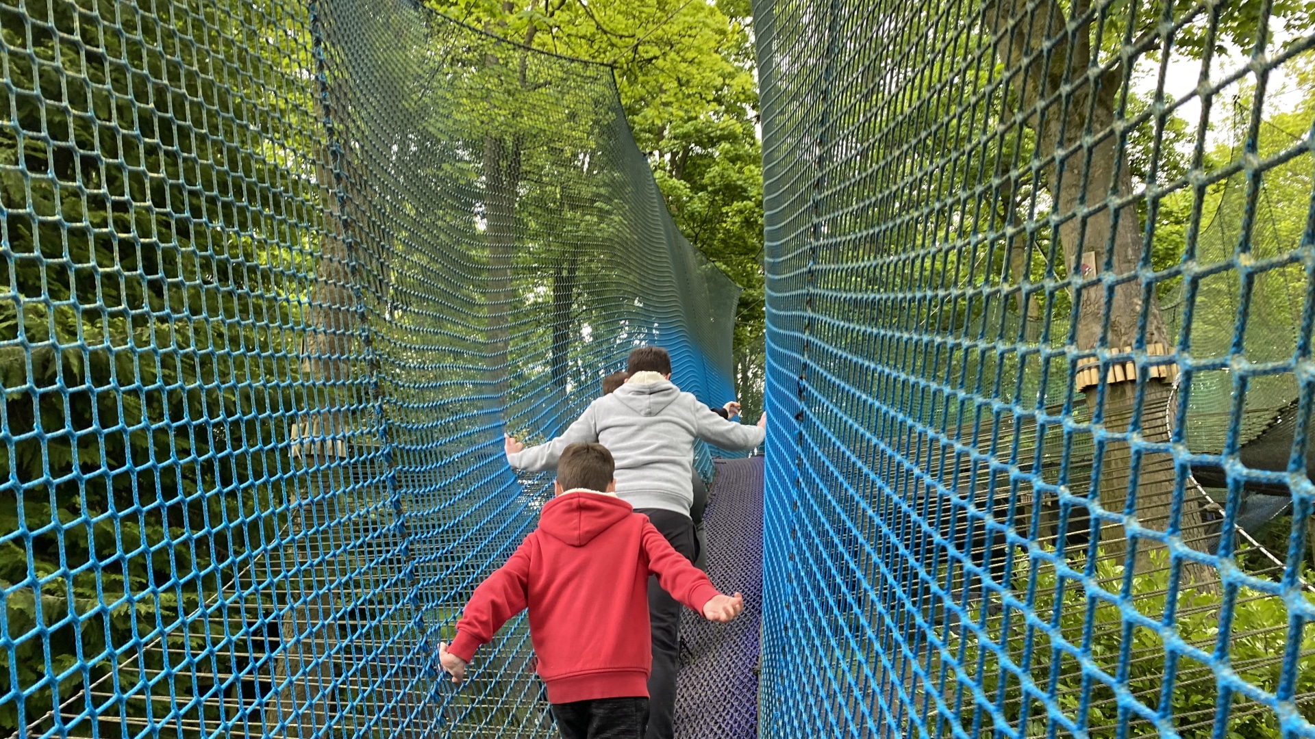 Lightwater Valley Family Adventure Park - Treetop Trails