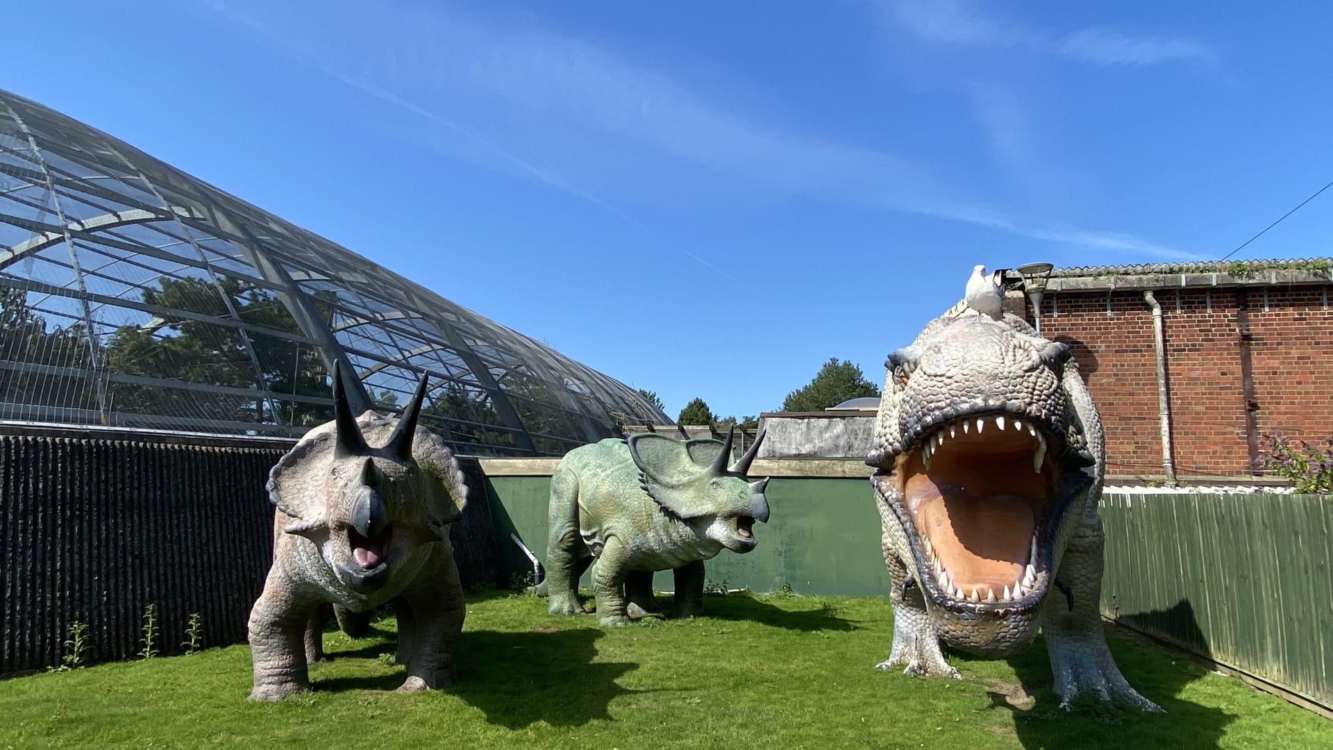 Dinosaurs at Blackpool Zoo