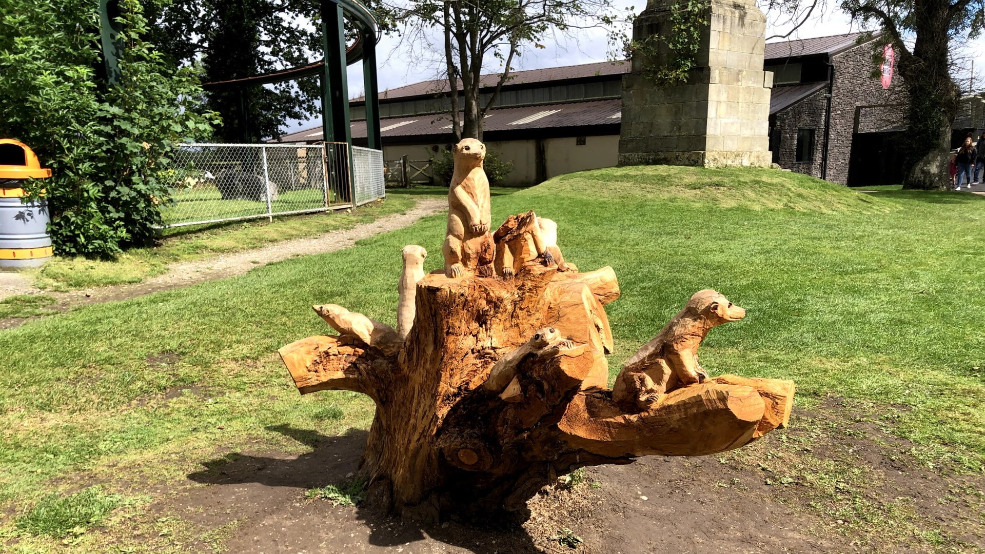 Flamingo Land - Meerkats Carving