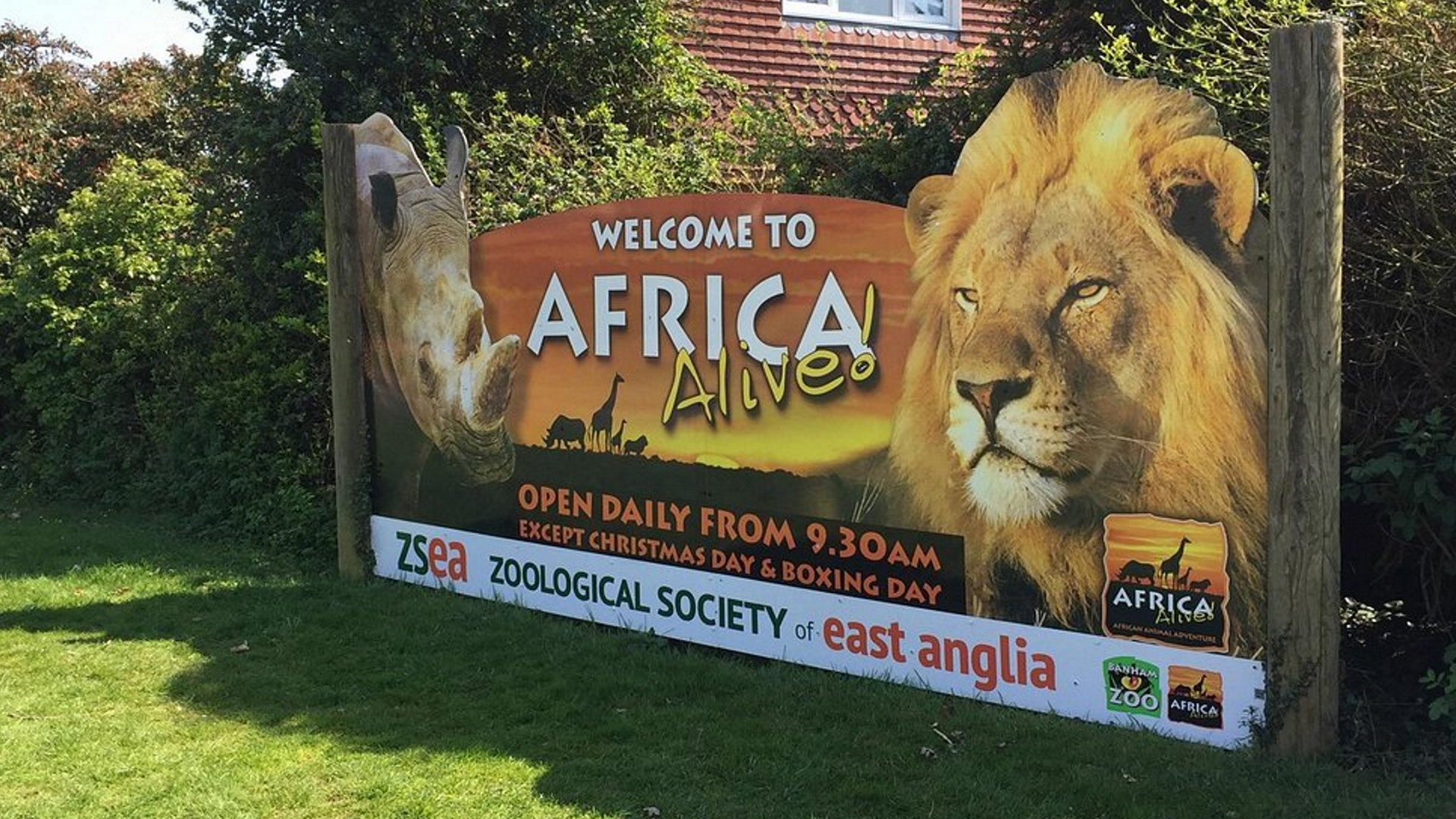 Africa Alive! Attractions Near Me