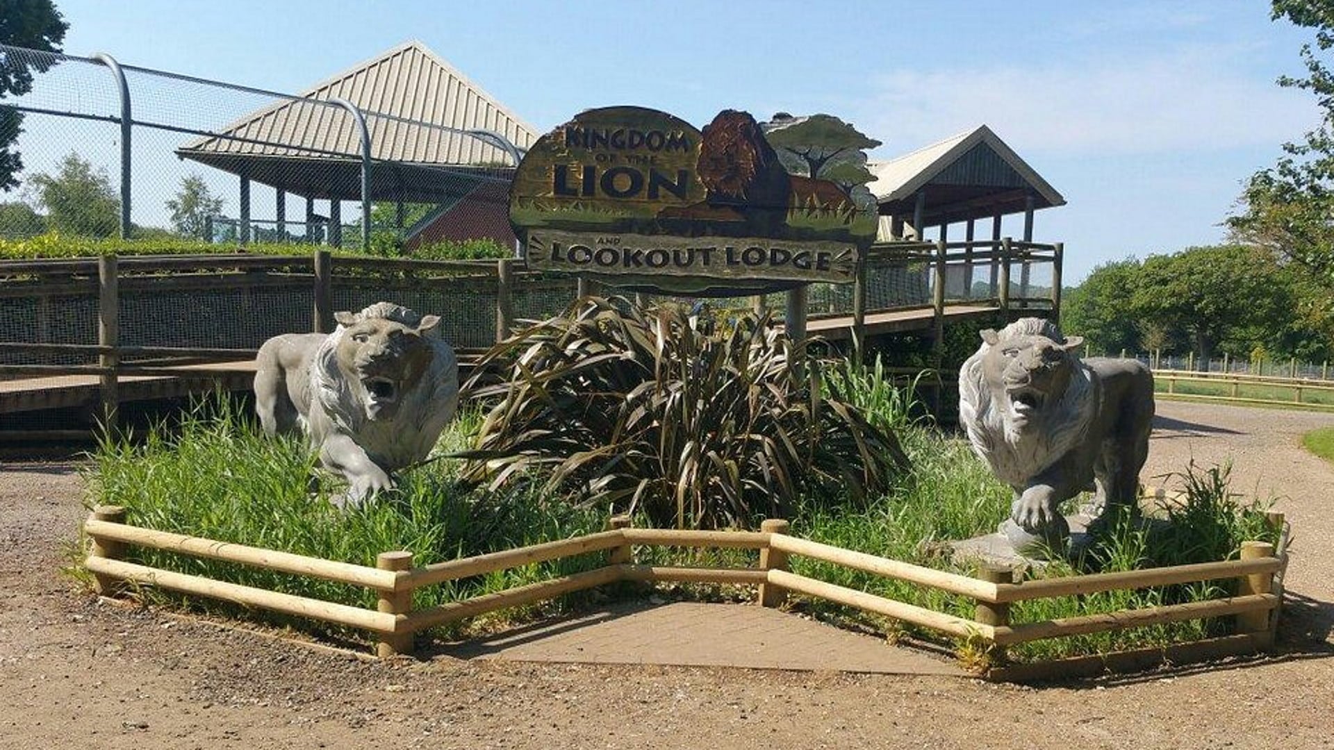 Africa Alive - Lion Lookout Lodge