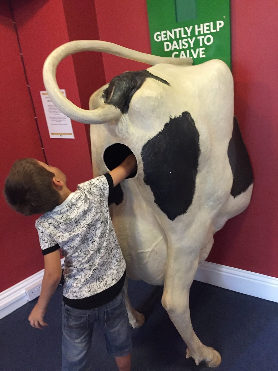 World of James Herriot - Help the Cow to Calve