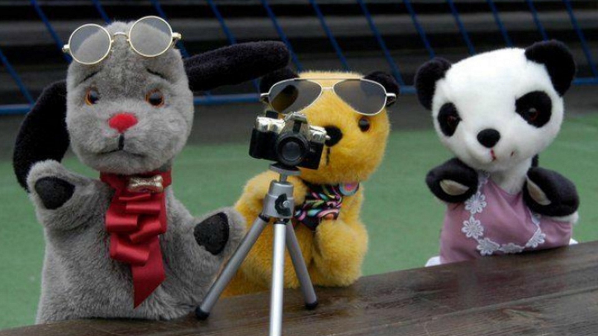 Crealy Theme Park and Resort - Sooty Sweep and Sue