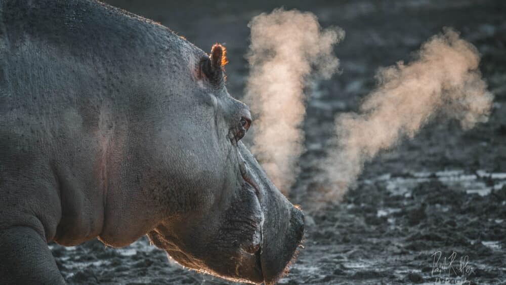 Discount Flamingo Land Tickets | Attractions Near Me