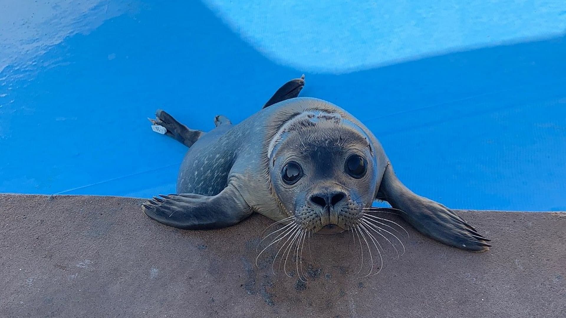 Natureland Seal Sanctuary