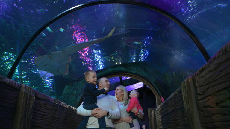 SEA LIFE Blackpool - Ocean Tunnel