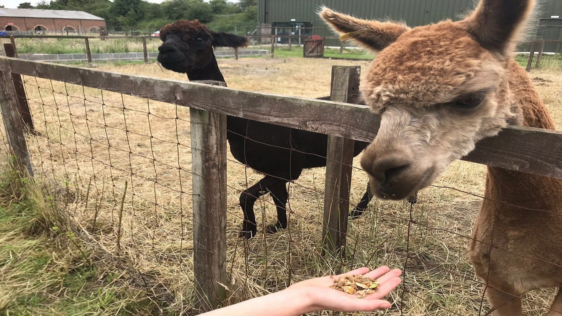 Shepherds Place Farm