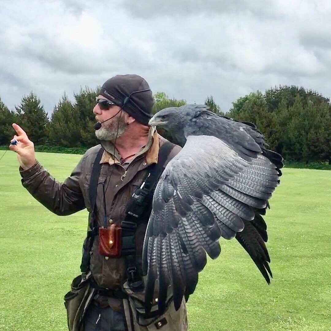 The Milky Way Adventure Park - Birds of Prey