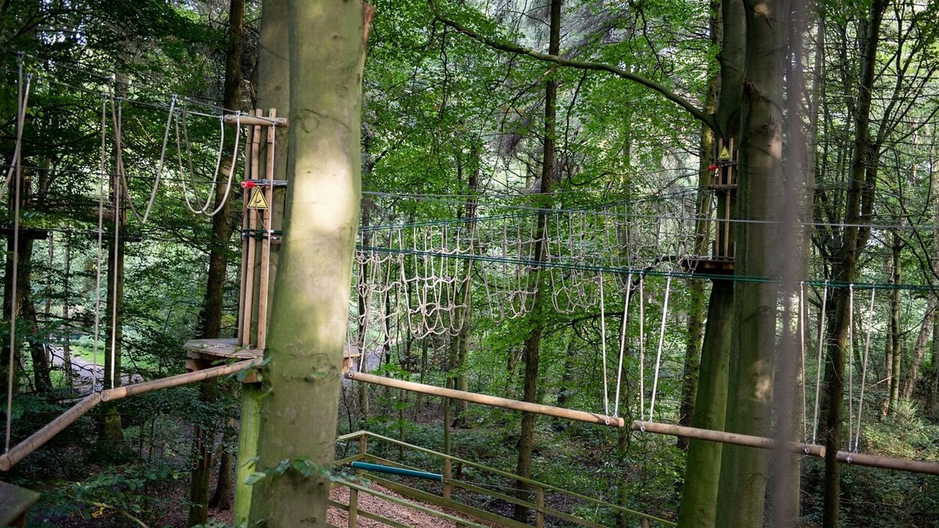 Go Ape Normanby Hall - Treetop Adventure