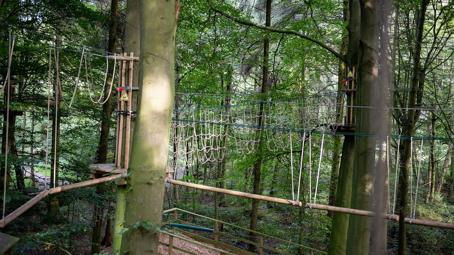 Go Ape Normanby Hall - Treetop Adventure