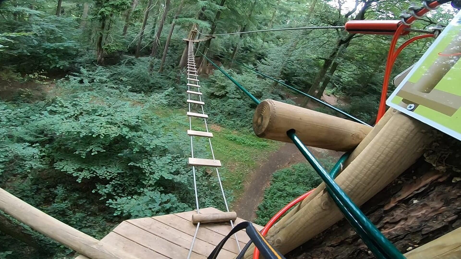 Go Ape Normanby Hall - Treetop Labber Challenge