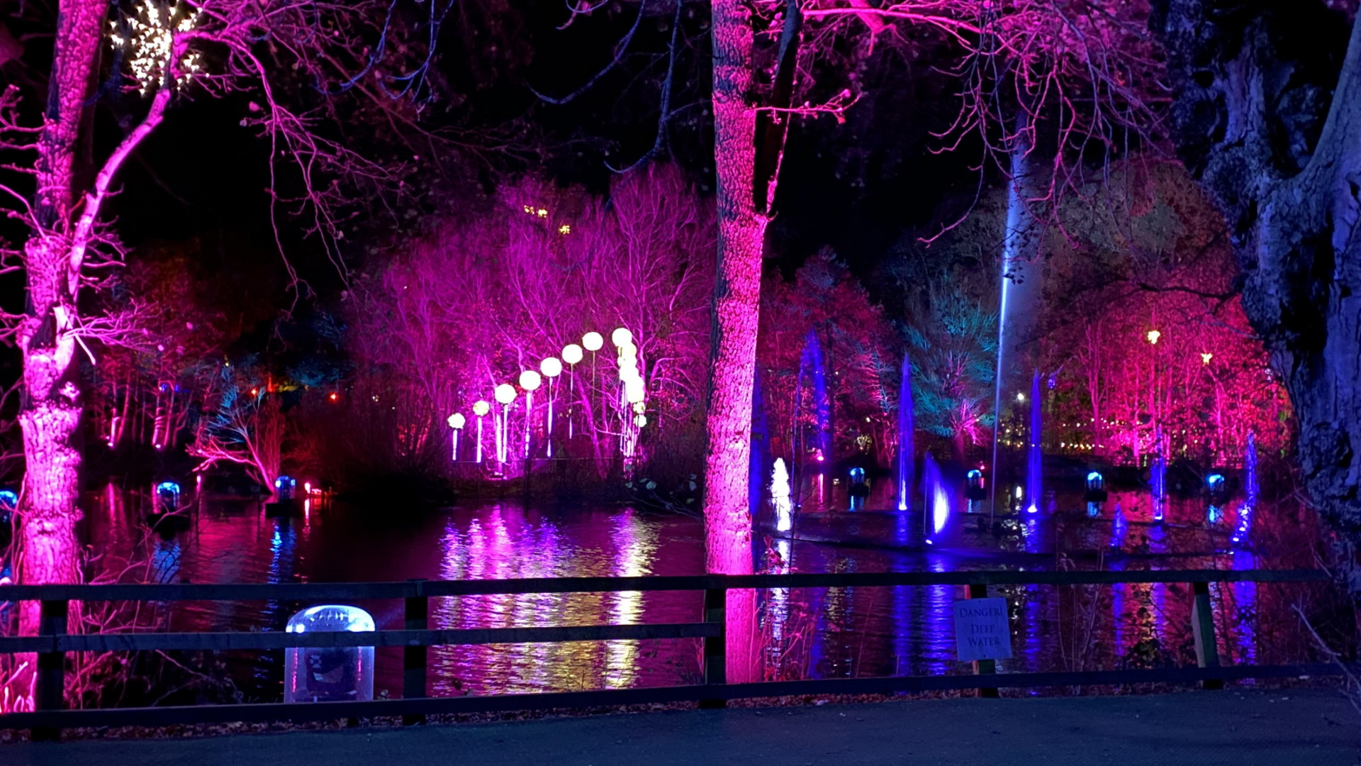 Stockeld Park - Enchanted Forest