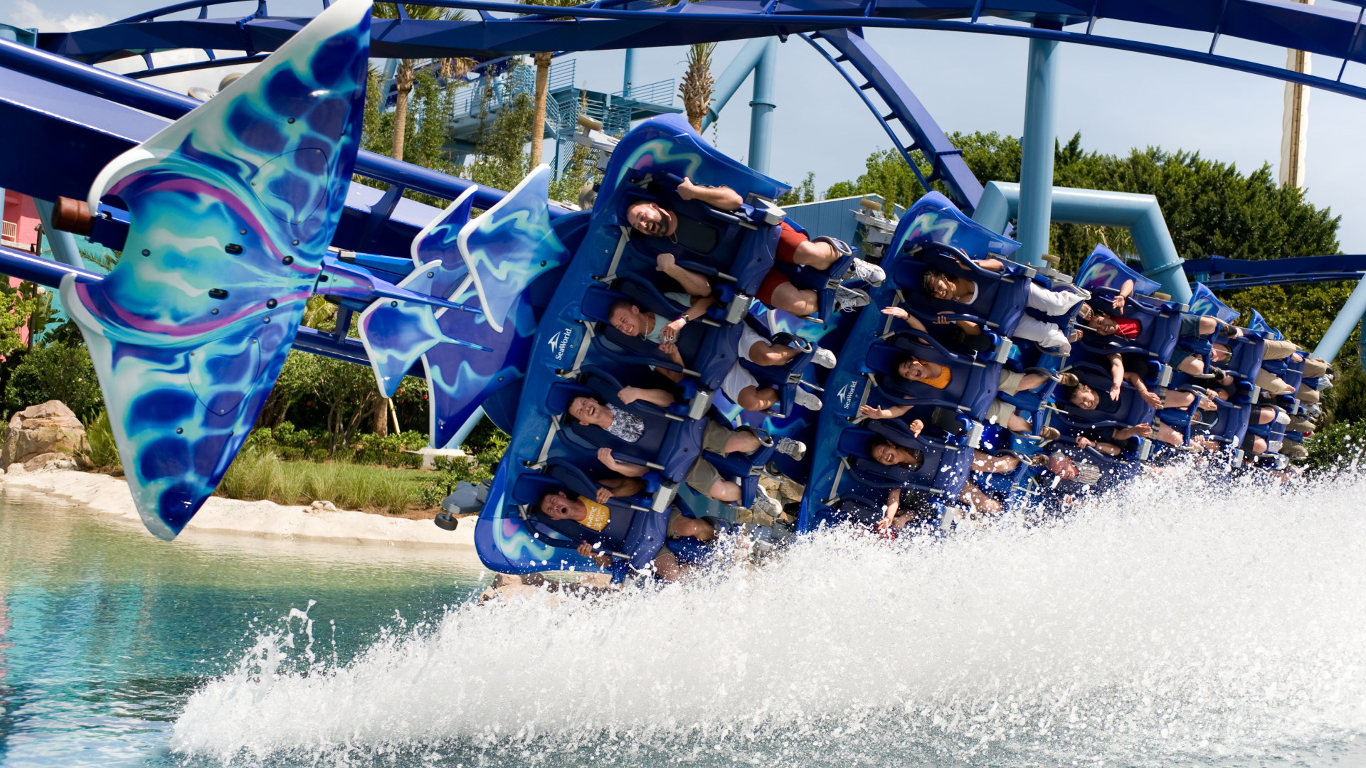 Manta Dips a Wing at SeaWorld Orlando