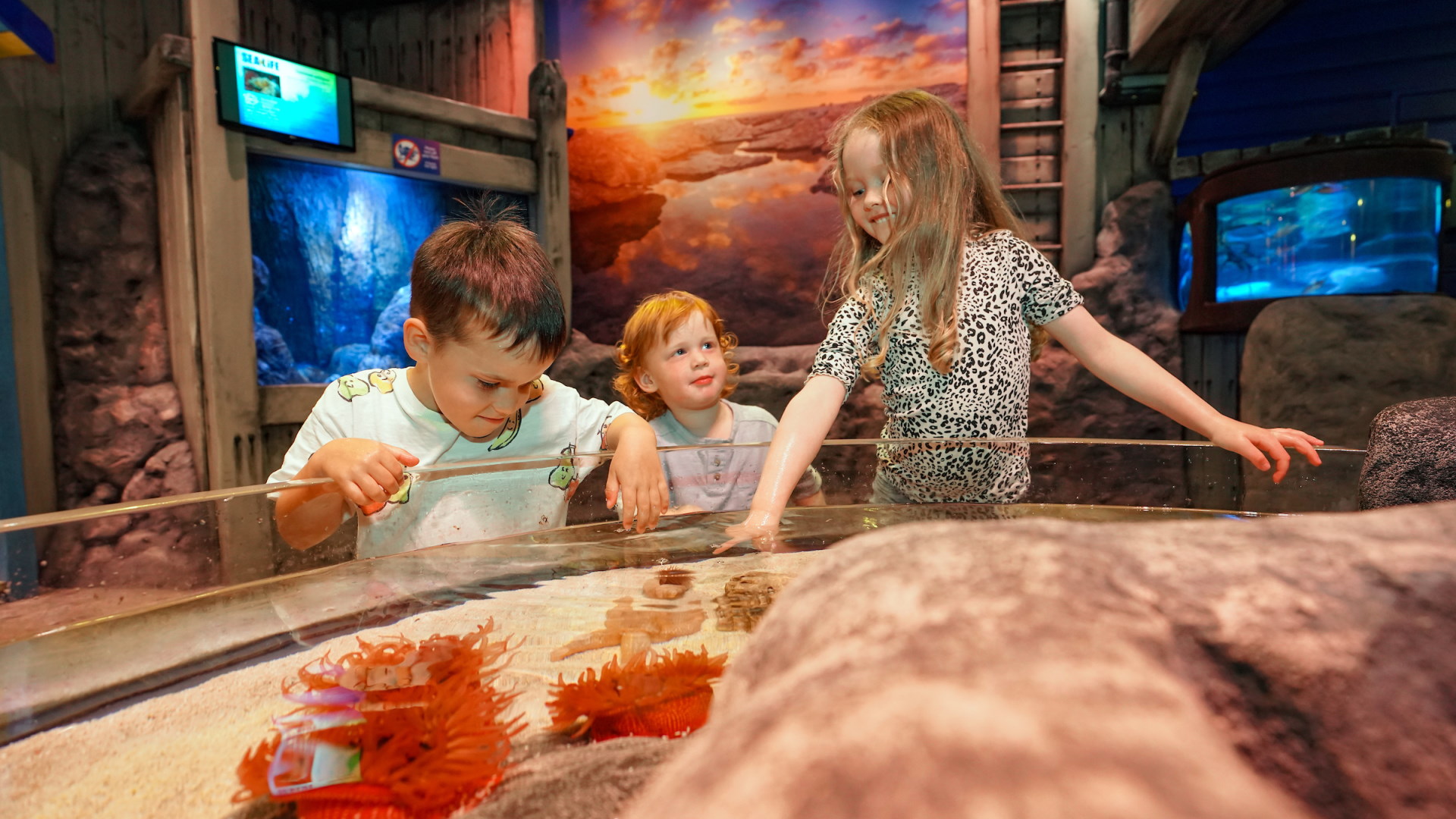 SEA LIFE Great Yarmouth