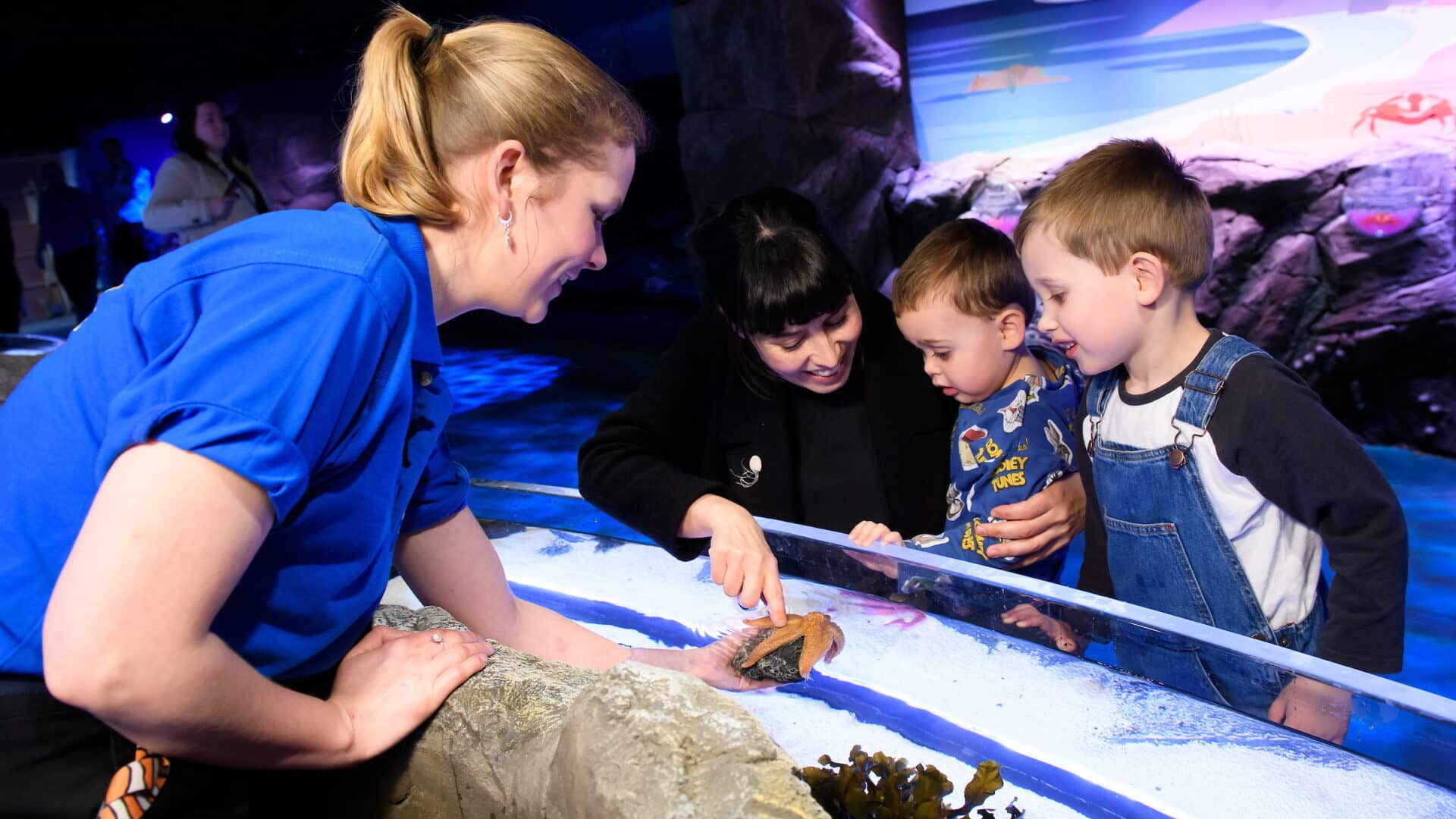 SEA LIFE London Aquarium - Rock Pool Explorer