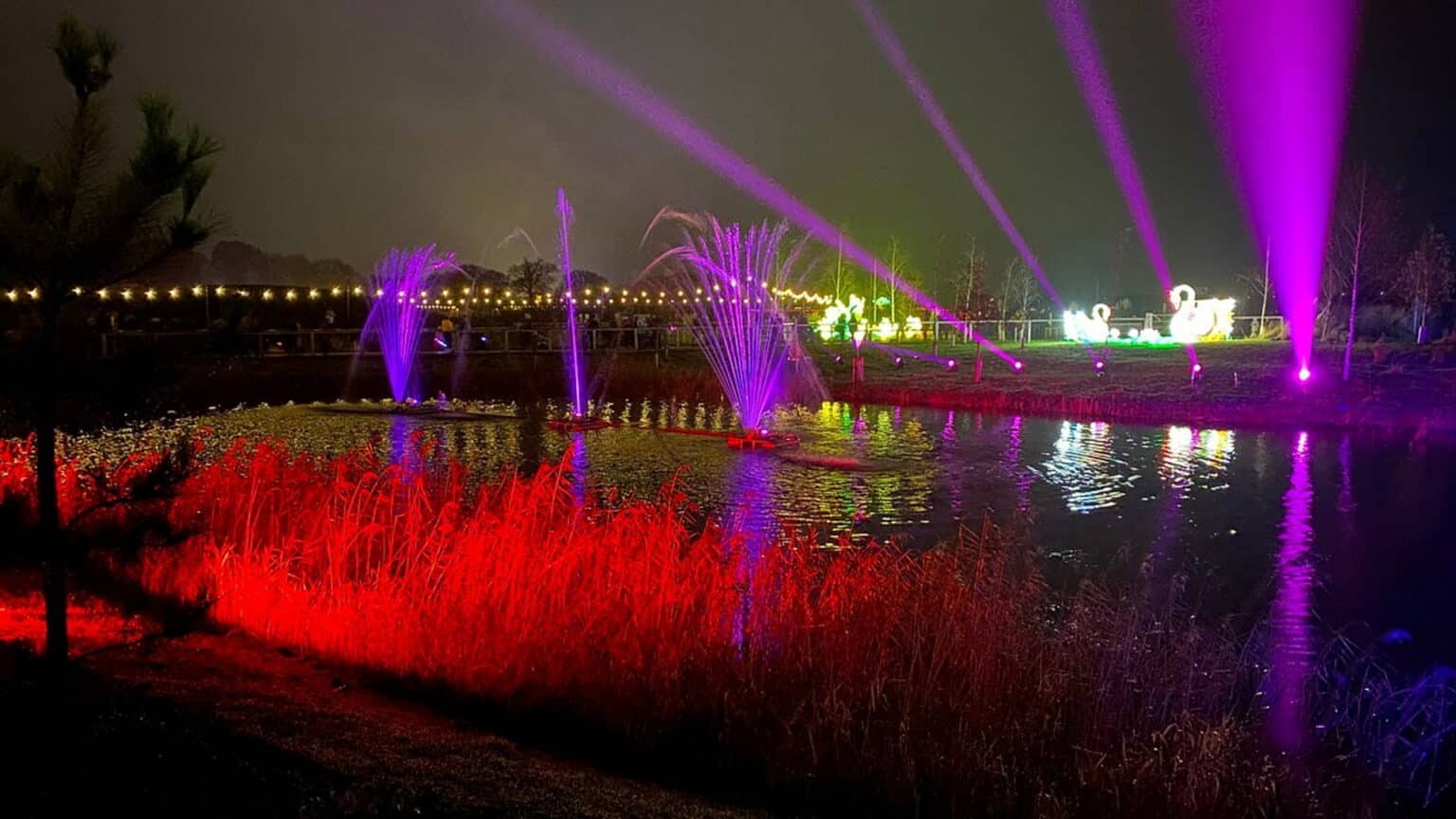 Save 45 on Winter Illuminations at Yorkshire Wildlife Park