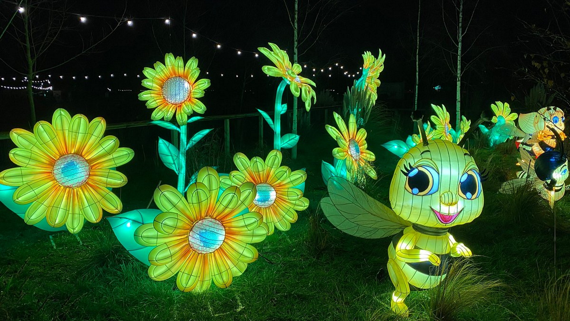 Yorkshire Wildlife Park - Winter Illuminations Bug