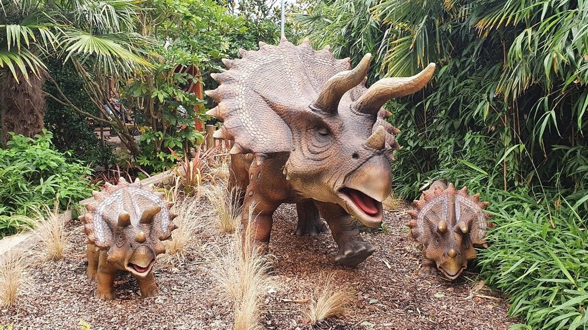 Drusillas Park - Jurassic Jungle