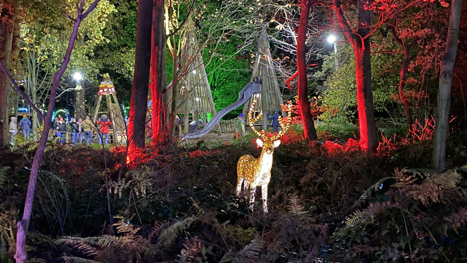 Stockeld Park Christmas Adventure Attractions Near Me