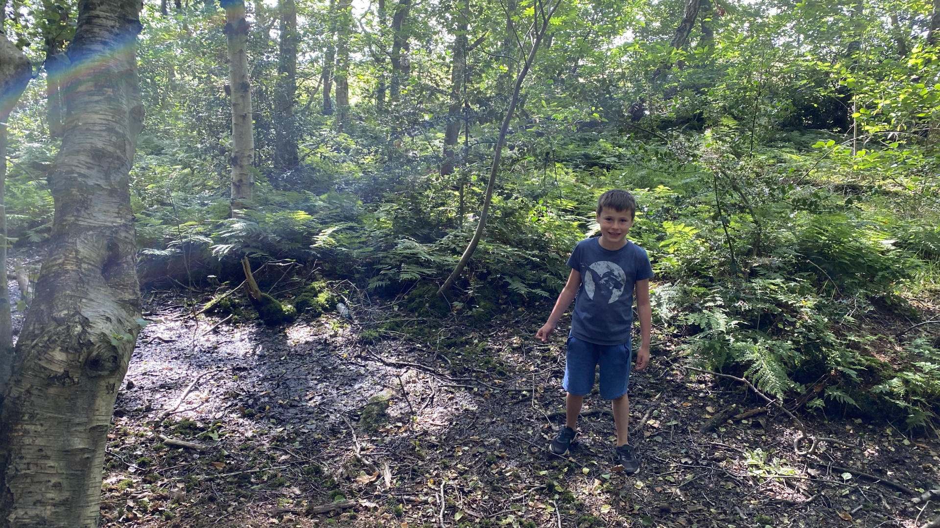 Haven Holidays - Woodland Walks