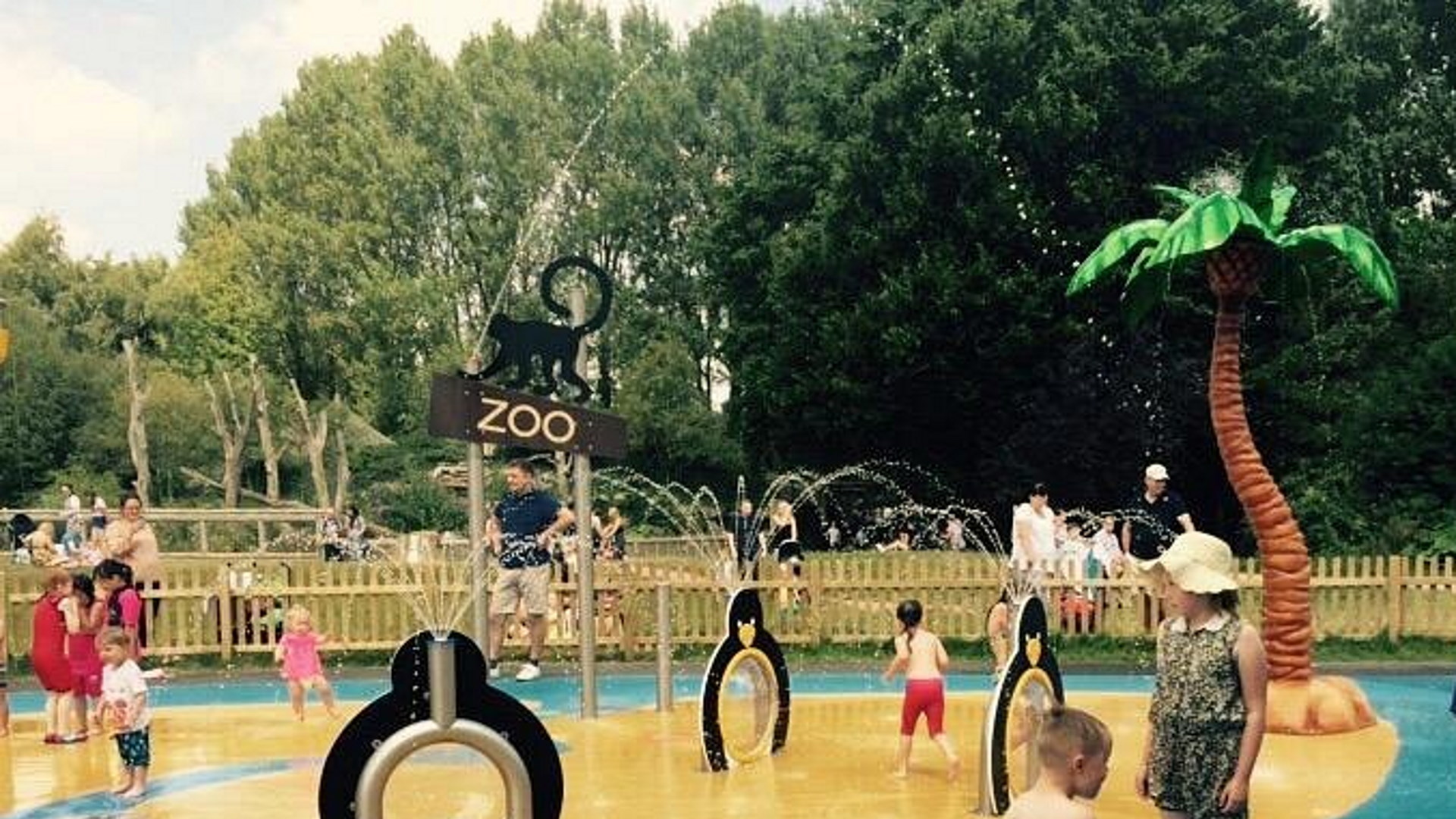 Twycross Zoo - Splash Zone