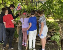 101 Activities for Families - Things to do with Family Building a Bug Hotel