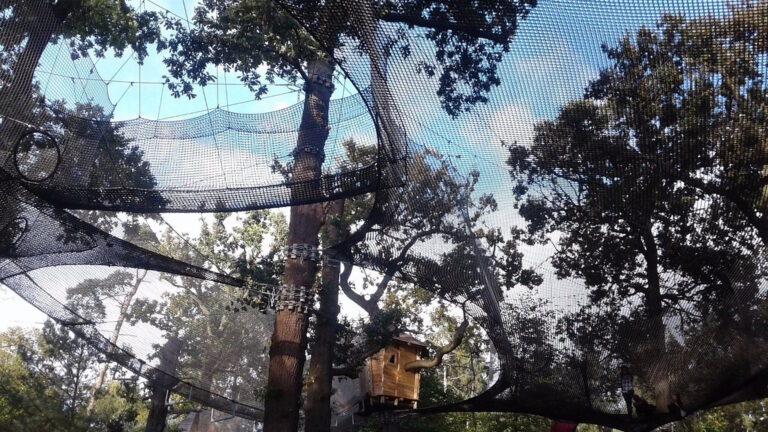 Go Ape Black Park Nets Adventure 768x432
