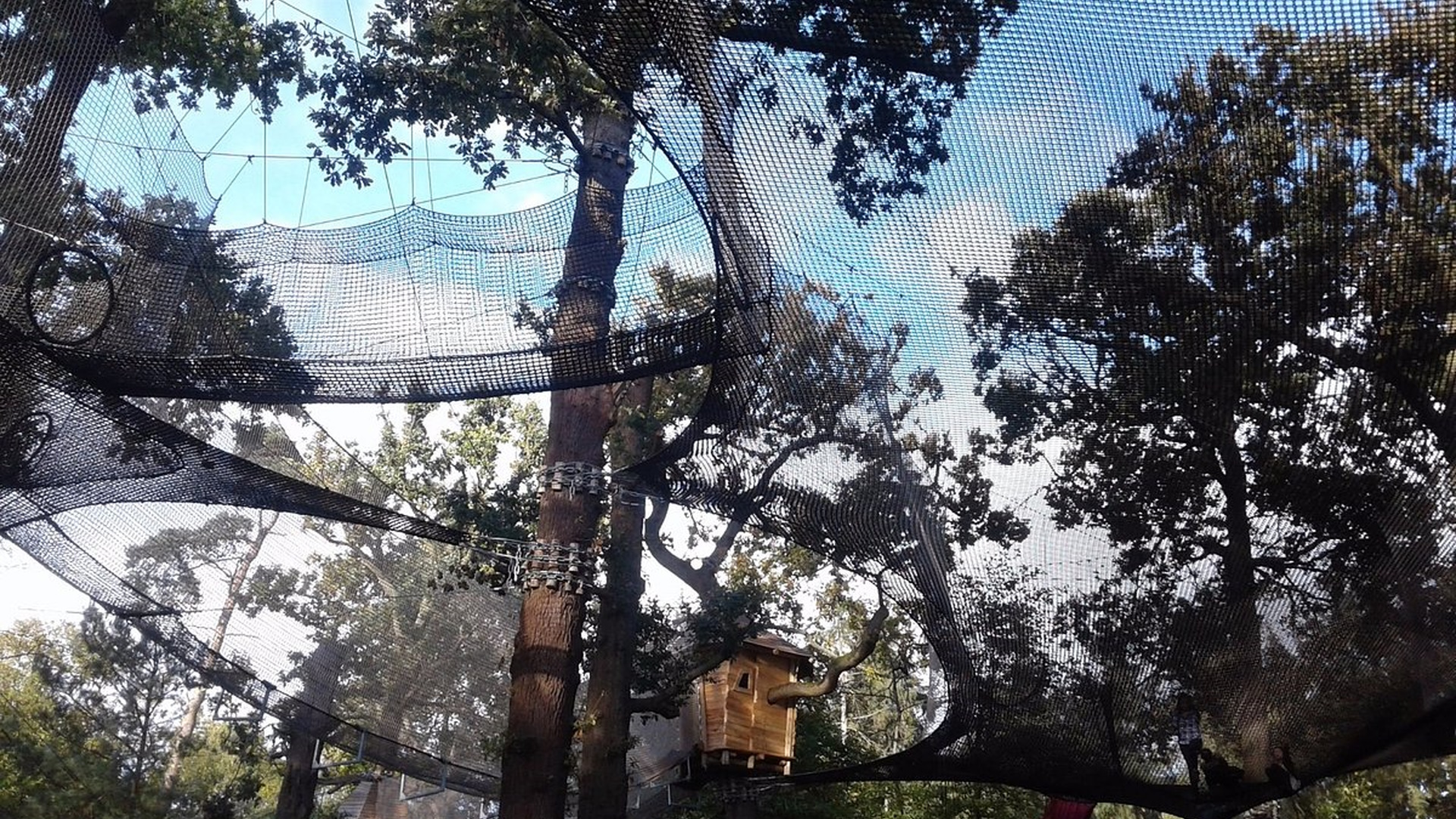Go Ape Black Park - Nets Adventure