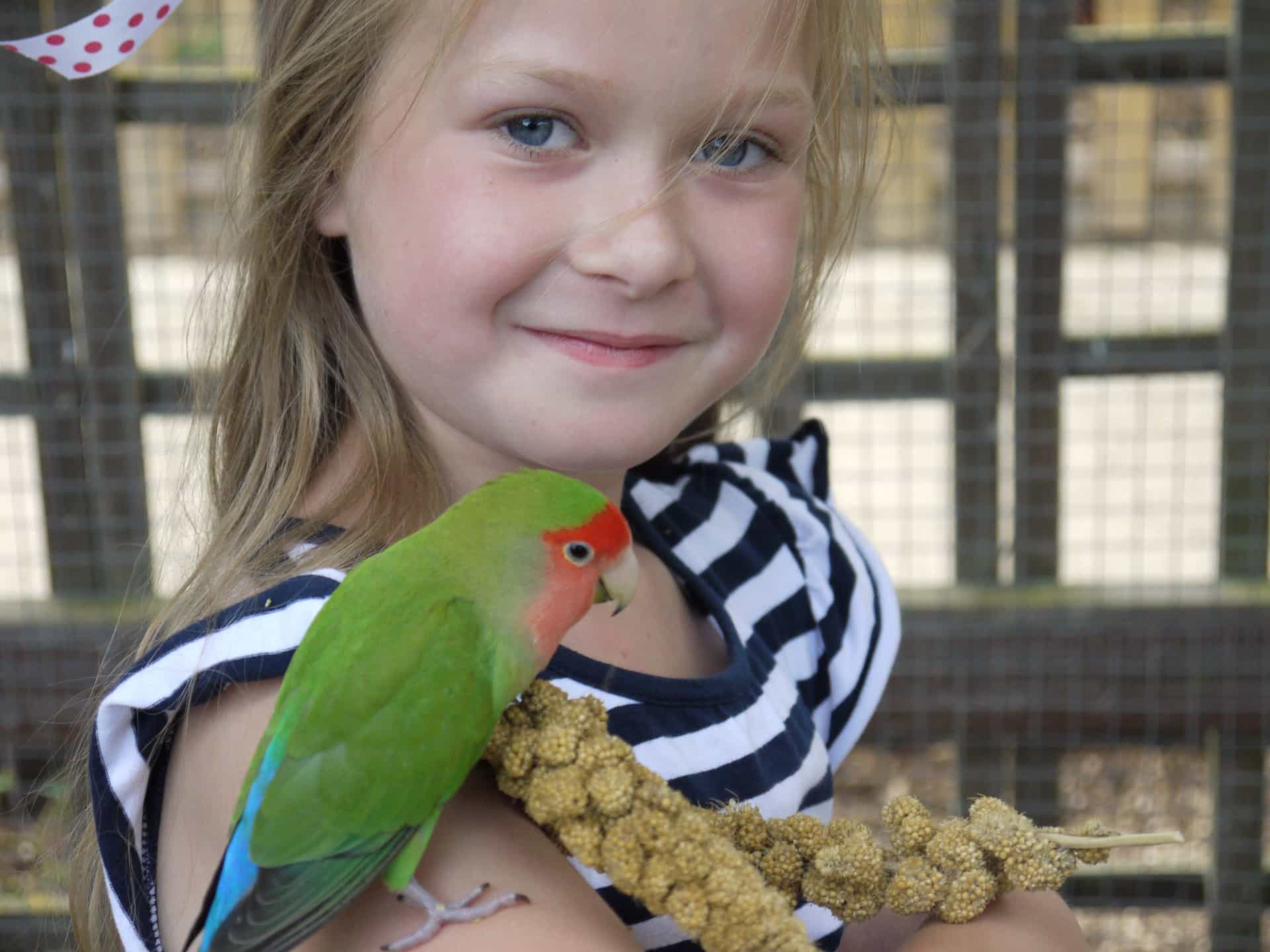 Lincolnshire Wildlife Park - Parrot