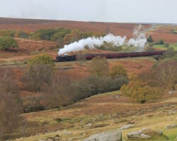 North Yorkshire Moors Railway (NYMR) North Yorkshire Moors Railway