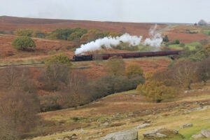 North Yorkshire Moors Railway (NYMR)