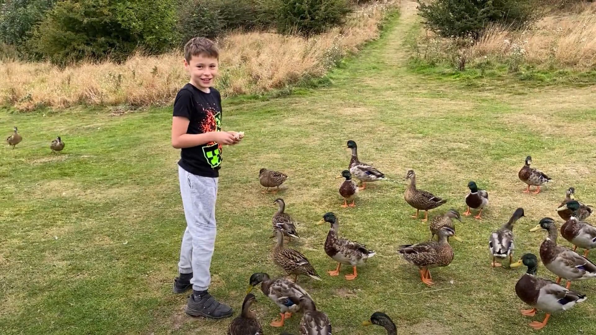 Feeding the Ducks