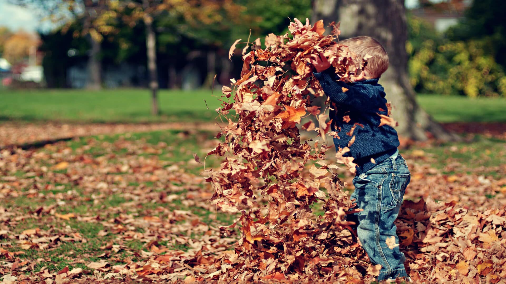 Playing in the Autumn Leaves