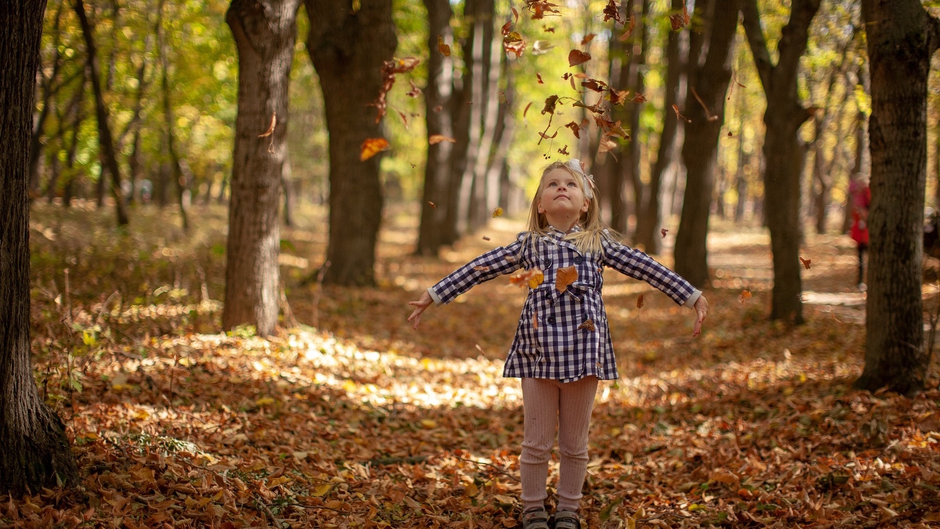 Catching Falling Leaves