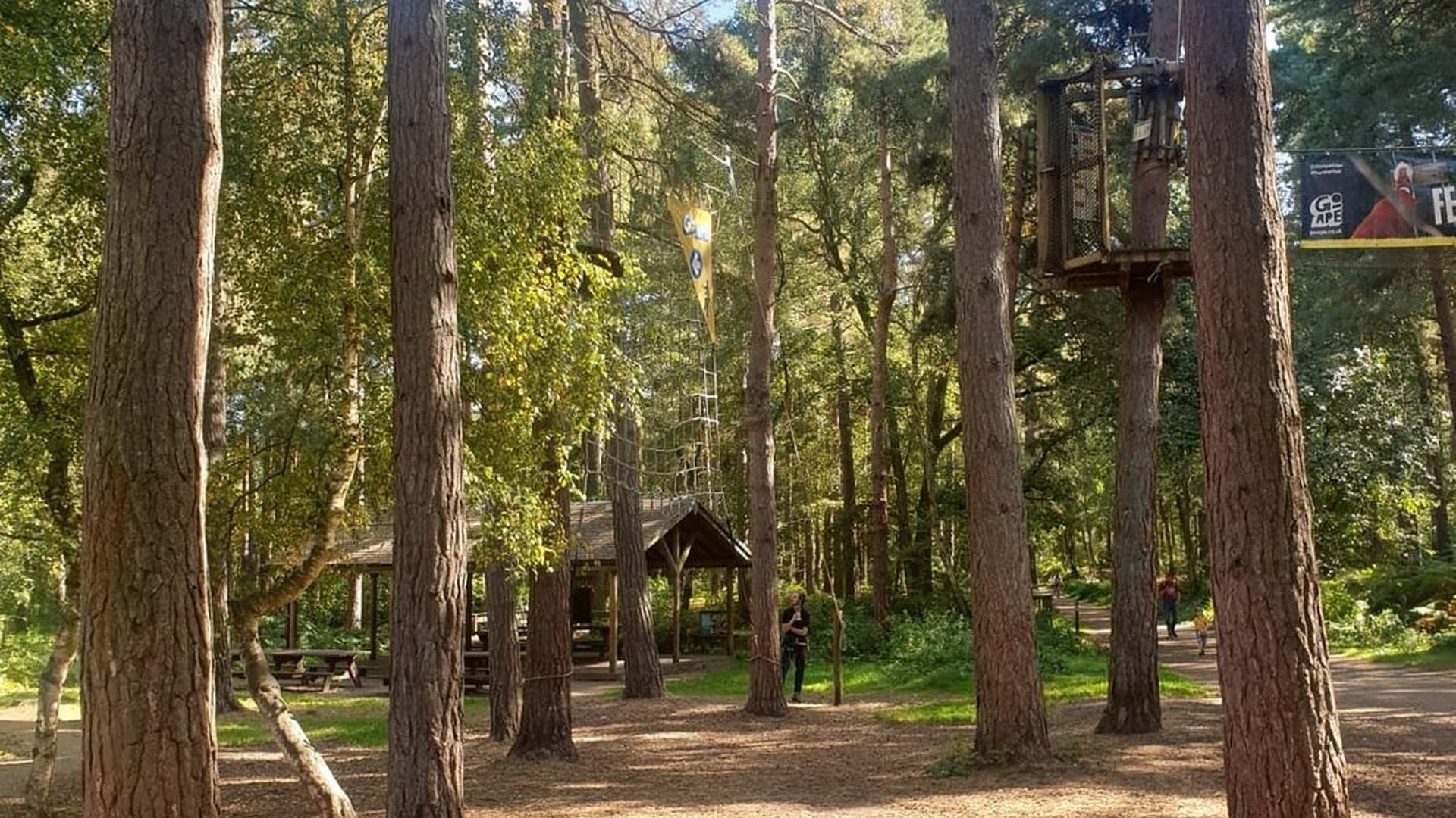 Go Ape Bracknell - Stunning Woodland