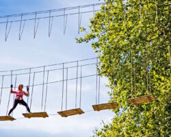 Go Ape Discount Voucher Code: Save 20% on Treetop Adventures Go Ape Treetop Adventures