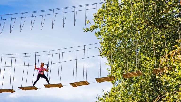 Go Ape Treetop Adventures 768x432