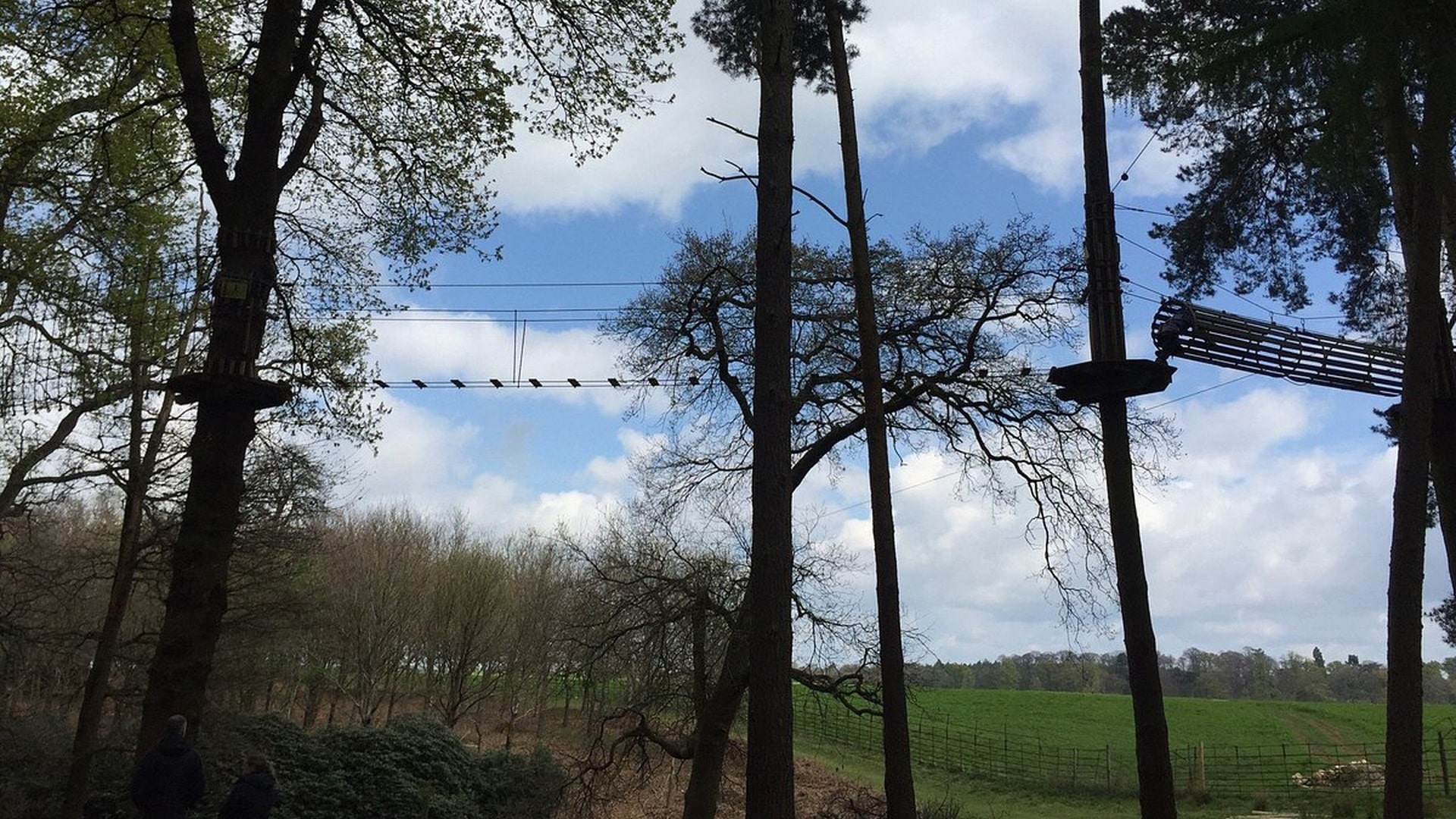 Go Ape Woburn - Treetop Walkway