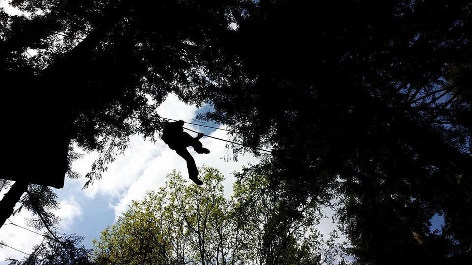 Go Ape Wyre Forest - High Rope Adventures
